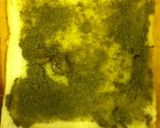 我が家の定番★バジルソースのホットサンド作り方1写真