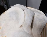 ひき肉ともやしの揚げ餃子作り方4写真