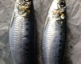 青しそとしょうがの酢飯＆いわしの蒲焼作り方1写真