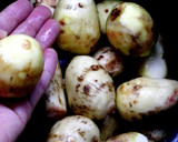 包丁は使わない ねっとり里芋煮っころがし作り方1写真