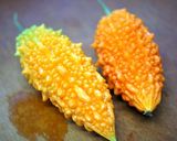 完熟ゴーヤー餃子作り方1写真