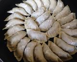 夏はさっぱり 大葉入り餃子作り方5写真