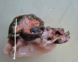 お刺身サザエさん♪作り方8写真