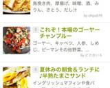 これぞ！本場のゴーヤーチャンプルー作り方14写真