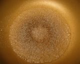 フライパンで作る簡単親子丼☆作り方1写真