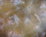 鶏の唐揚げ塩味作り方4写真