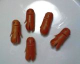 ソーセー人のセレモニー作り方3写真