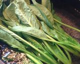 ほうれん草と卵の薄あげ巾着煮作り方1写真