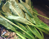 ほうれん草と卵の薄あげ巾着煮作り方1写真