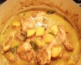 バターチキンカレー☆インド人もビックリ作り方14写真