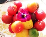 プチトマトの浅漬け作り方5写真