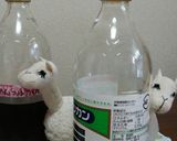 手作り関西風めんつゆ(約２倍濃縮)作り方4写真