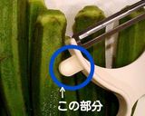 ジョリジョリ剃ろう♪オクラの産毛取り作り方1写真