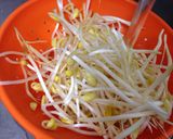 簡単おつまみ♡もやしとメンマのピリ辛和え作り方1写真