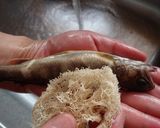 魚焼きグリルde岩魚（イワナ）の塩焼き作り方1写真