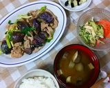 豚肉となすのニンニク味噌炒め**ピリ辛作り方9写真