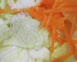 簡単♪ヘルシー浅漬け＊サラダ感覚おかず作り方4写真