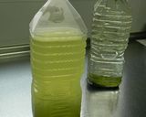 冷緑茶作り方3写真