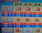 ジップロックde本格梅干し★減塩12％作り方18写真