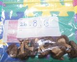 薫り良し!!干し椎茸の作り方作り方4写真