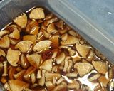 大根の甘酢醤油漬け(このもん)作り方4写真