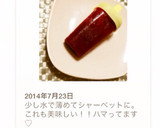 農家さんのレシピ☆簡単濃縮赤しそジュース作り方19写真