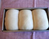 ゆめちから100％✿グミ入り山食✿作り方32写真