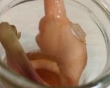 新生姜の甘酢漬けピンク酢飯に！ネバネバ丼作り方5写真