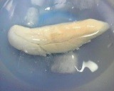 ささみとオクラのゴマ和え作り方2写真