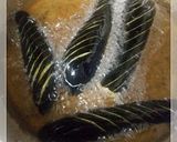 ナスの揚げ浸し そうめん添え作り方4写真