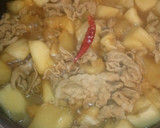 ☆冬瓜 (夕顔)と豚肉のとろりん炒め煮☆作り方1写真