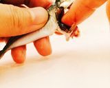 豆あじの処理作り方5写真