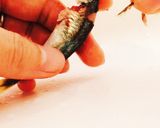 豆あじの処理作り方8写真