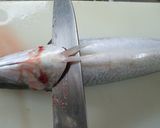 基本の三枚おろし作り方1写真
