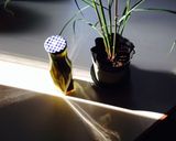 レモングラスオイル().調味料作り方10写真