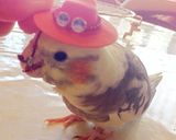 メラメラのパン作り方8写真
