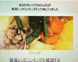 肉じゃが作り方4写真