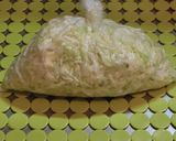 キャベツと青パパイヤのコールスロー作り方2写真