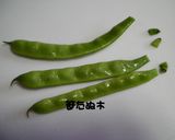 さやいんげんのごま和え作り方1写真