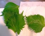 パリパリ☆大葉の味噌巻き！作り方1写真