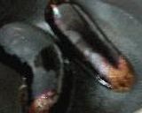 汲み上げ湯葉で茄子刺身作り方2写真