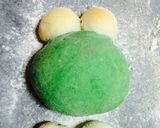 カエルパン作り方4写真