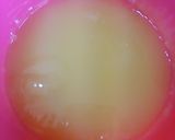 爽やか☆夏のトロピカルレアチーズケーキ♪作り方15写真