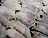ズッキーニの餃子作り方3写真