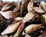 みょうがのシソ甘酢漬け作り方5写真