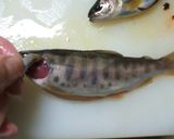 釣りやまべの南蛮漬け作り方7写真