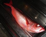 赤身魚の竜田揚げ作り方1写真