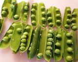 鶏肉のフォー作り方3写真