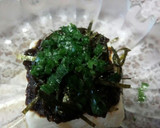 簡単！さっぱり～こってり♪苔の佃煮冷奴♡作り方4写真