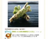 やみつき…アボカドの冷製スパ作り方7写真